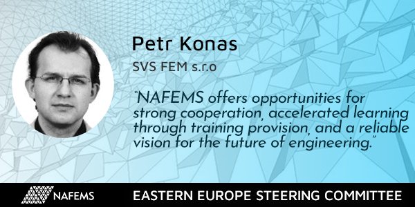 Petr Konas -  SVS FEM