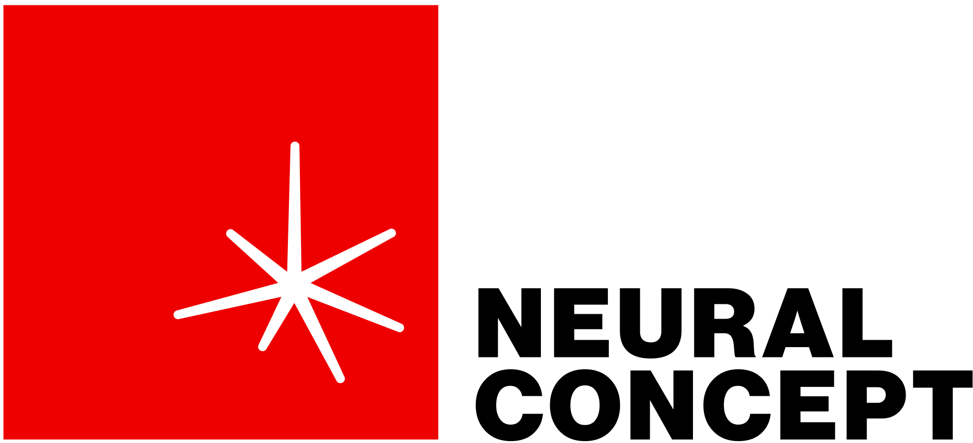 NEURAL CONCEPT